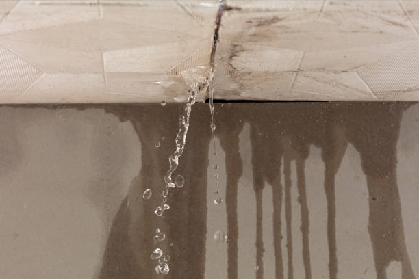 Professional Structural Drying technician working in Springlake, TX